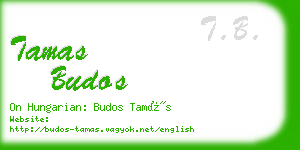 tamas budos business card